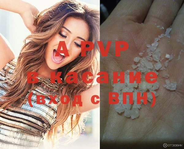 ECSTASY Балахна