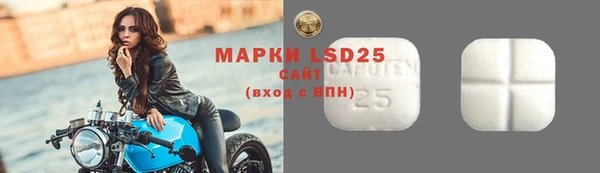 ECSTASY Балахна