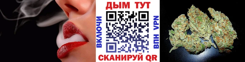 наркошоп  Шагонар  Канабис Ganja 